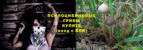 прущая мука Верея