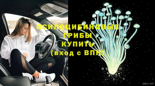 прущая мука Верея